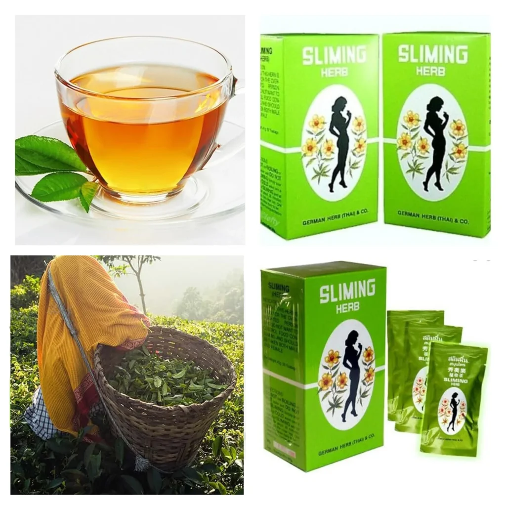 How to Use Original Slim Tea Thailand German Benefits 2 Original Slim Tea Thailand German details image
